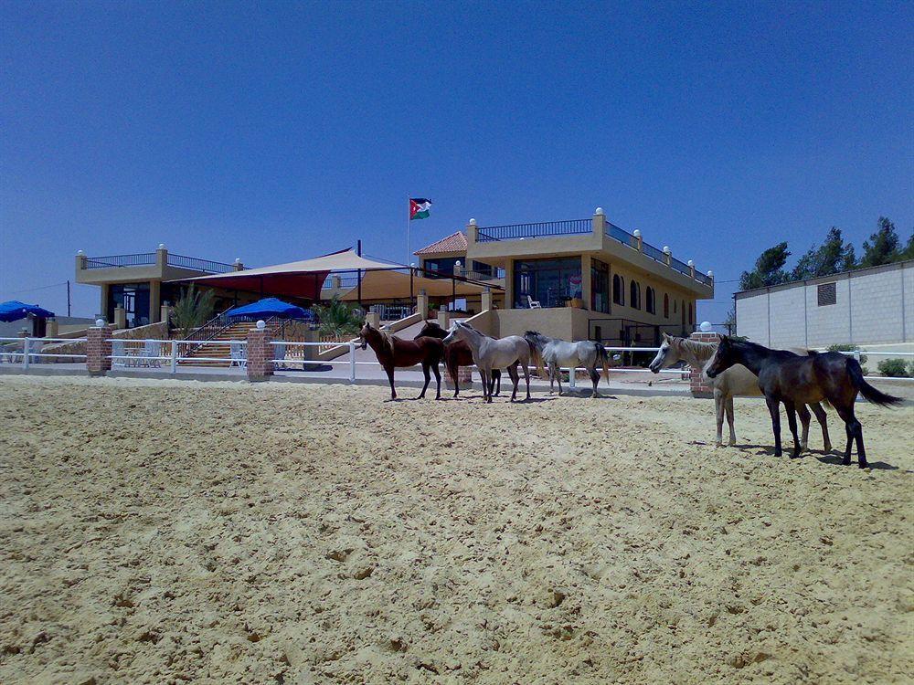 Saint John Hotel Madaba Kültér fotó